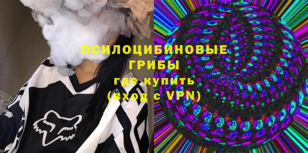 соль ск Вяземский