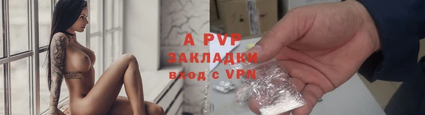круглые Вязьма