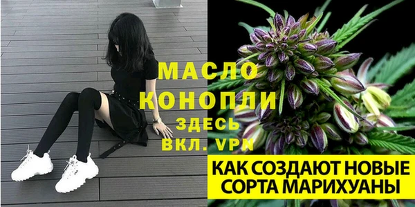 круглые Вязьма