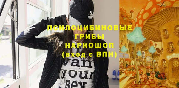 соль ск Вяземский