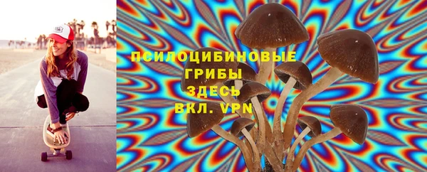 соль ск Вяземский