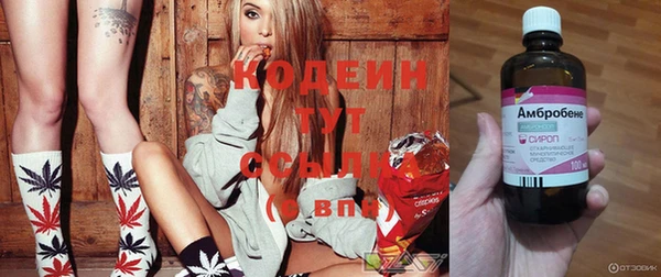 соль ск Вяземский
