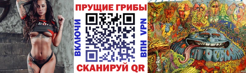 Псилоцибиновые грибы ЛСД  Купить закладки  Октябрьск 